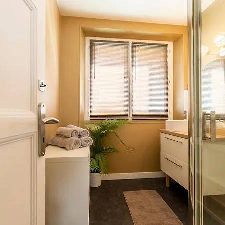 Le Rollin Cosy Lovely - Confort- Relax - Centre - 6 Voyageurs * Dijon
